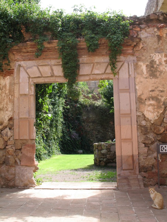slideshow image